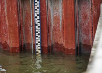 Фото: ТАЊУГ/ВЛАДИМИР ШПОРЧИЋ