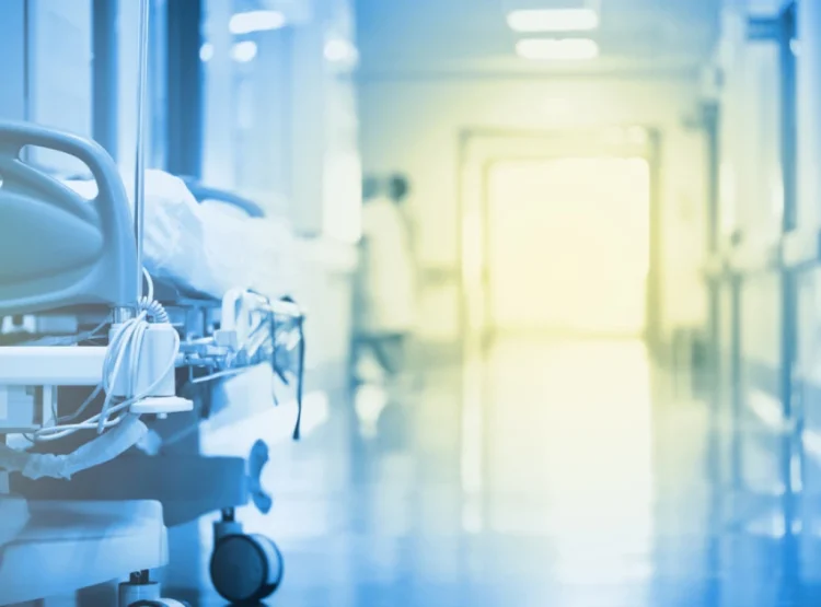 Foto: Shutterstock.com/sfam_photo, ilustracija