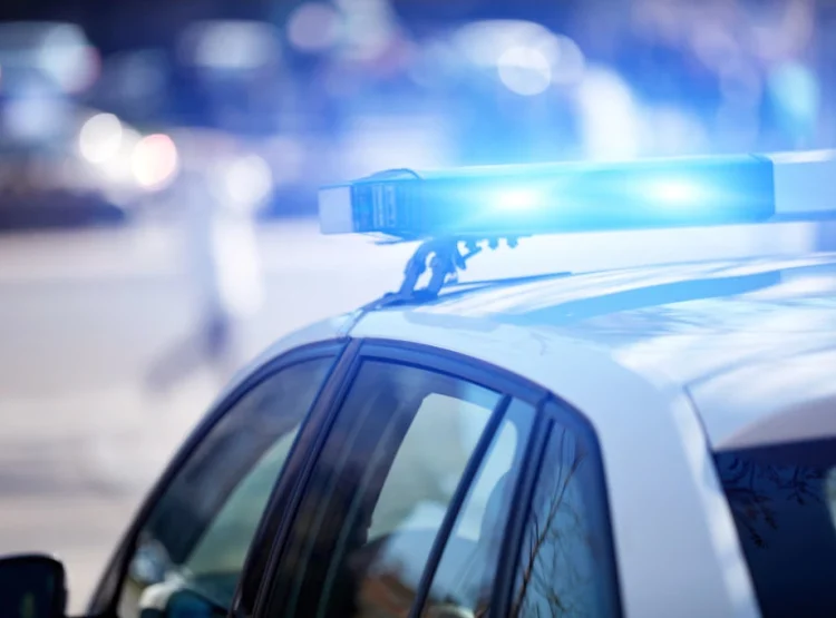 Foto: shutterstock.com/AstroStar, ilustracija