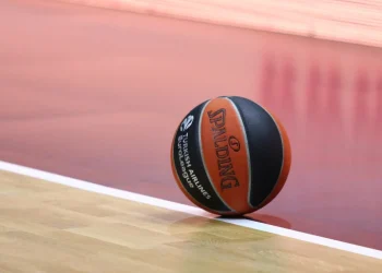 Foto: shutterstock.com/katatonia82, ilustracija