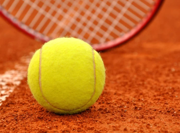 Foto: Shutterstock.com/ jaroslava V, ilustracija