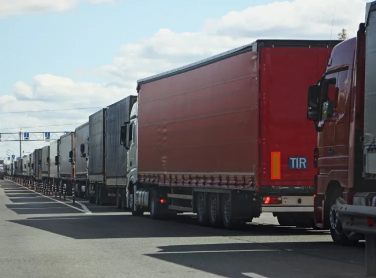 Фото: Схуттерстоцк.цом/илмаринфото, илустрација