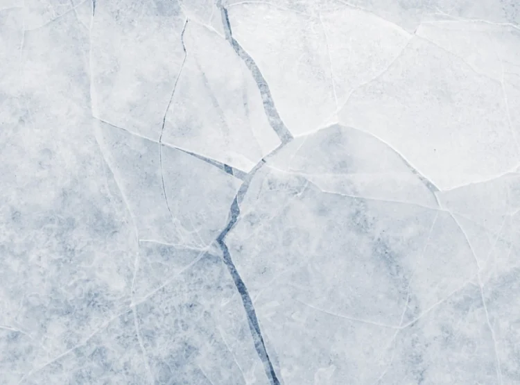 Foto: Shutterstock.com/Stone36, ilustracija