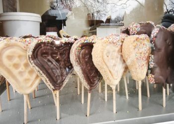 FOTO: BACKI PETROVAC INFO