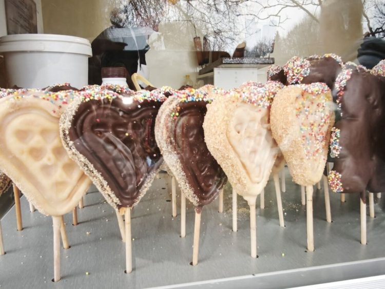 FOTO: BACKI PETROVAC INFO