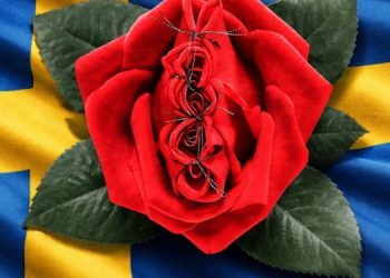 FOTO: Ilustracija Srpski Ugao