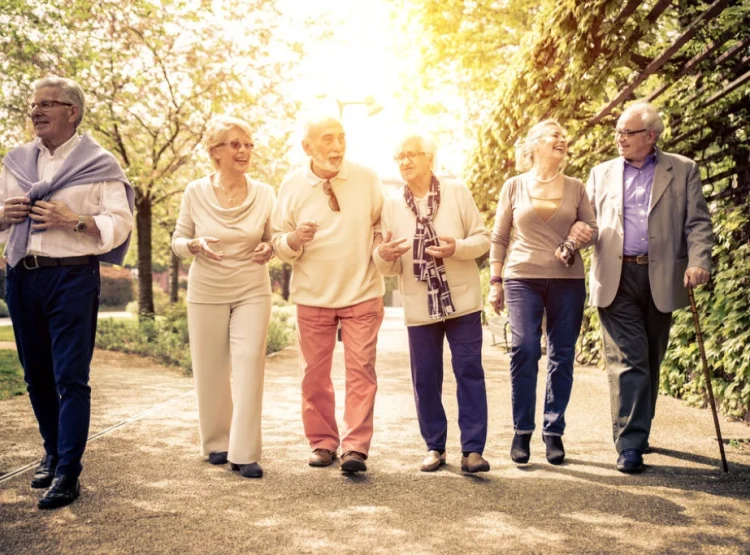 Foto: Shutterstock.com/oneinchpunch,