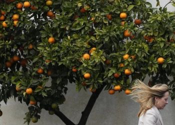 Foto: AP/Gregorio Borgia