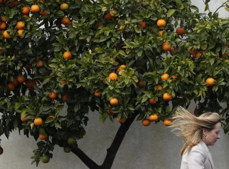 Foto: AP/Gregorio Borgia