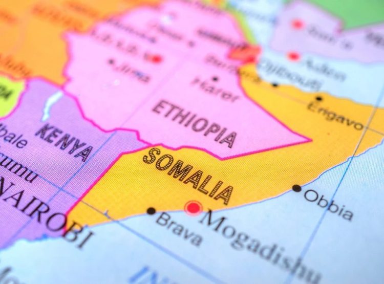 Foto: Shutterstock.com/AustralianCamera, ilustracija