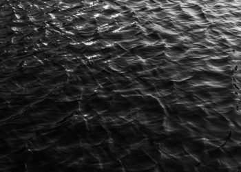 Foto: Shutterstock.com/Vicky_007Art/Ilustracija