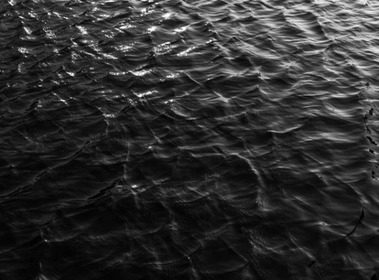 Foto: Shutterstock.com/Vicky_007Art/Ilustracija