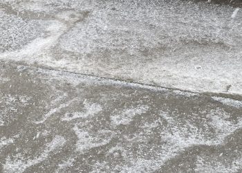 Foto: TANJUG/Aleksandar Nićiforović