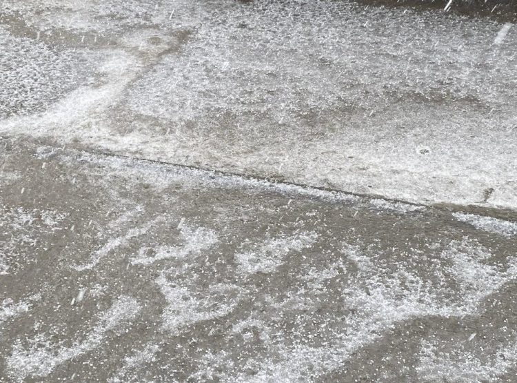 Foto: TANJUG/Aleksandar Nićiforović