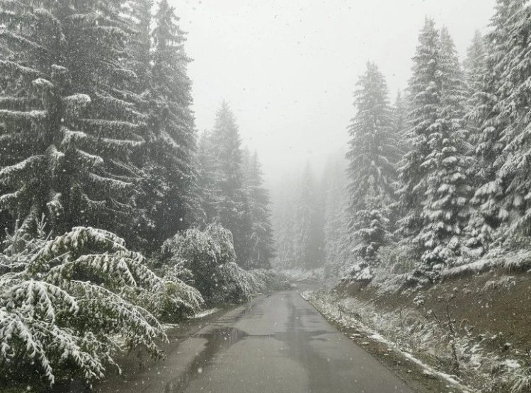 Foto: TANJUG/BRANKO LUKIĆ/Ilustracija