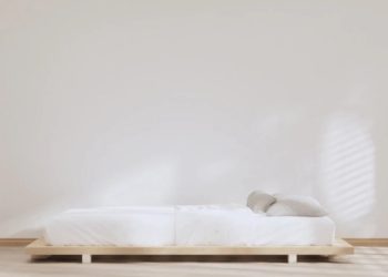 Foto: Shutterstock.com/Japan_room, ilustracija