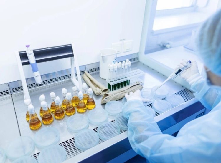 Foto: Shutterstock.com/sergey kolesnikov, ilustracija