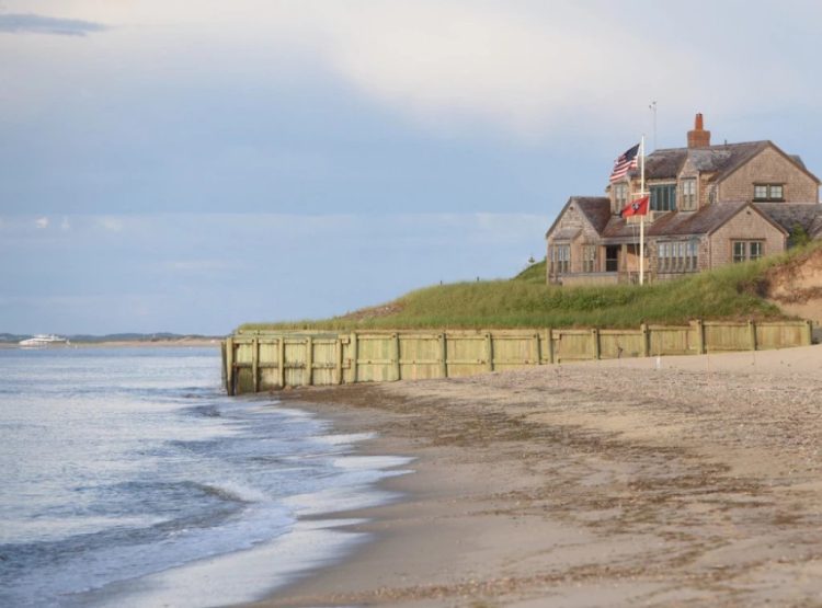 Foto: Shutterstock.com/Gretchen Blair Madden, ilustracija