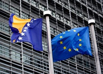 Foto: Shutterstock.com/Alexandros Michailidis, ilustracija