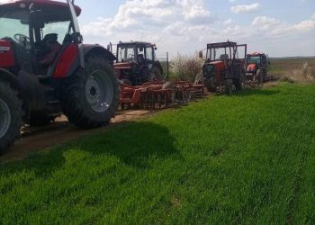 Бачки Брестовац - равнање пољских путева