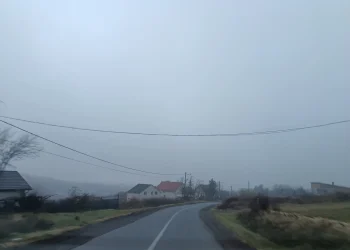 Фото: ТАЊУГ/ЈЕЛЕНА САВИЋ