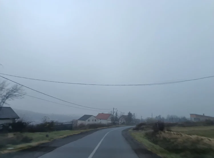 Foto: TANJUG/JELENA SAVIĆ