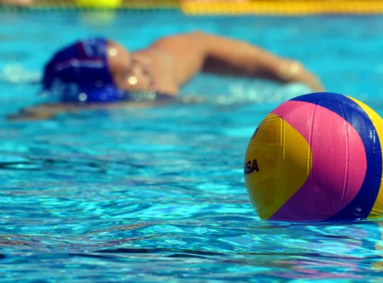 Foto: Shutterstock.com/katacarix