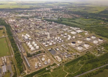 Foto: Shutterstock.com/Peteri, ilustracija