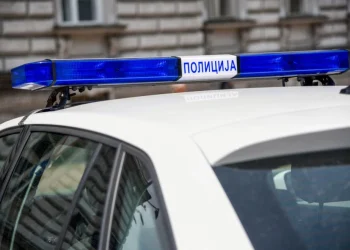 Foto: shutterstock.com/ToskanaINC, ilustracija