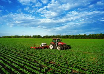 Фото: Схуттерстоцк.цом/Евгениyqw, илустрација