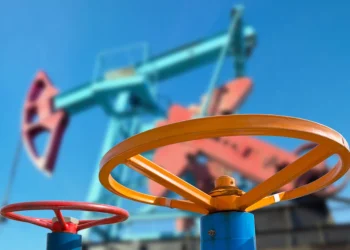 Фото: схуттерстоцк.цом/Леонид Икан, илустрација