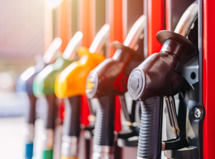 Фото: Схуттерстоцк.цом/Qуалитy Стоцк Артс