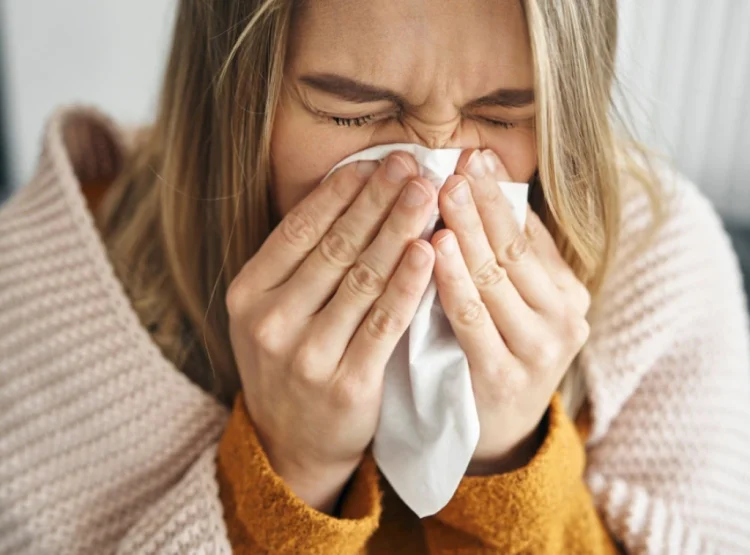 Фото: Схуттерстоцк.цом/гпоинтстудио