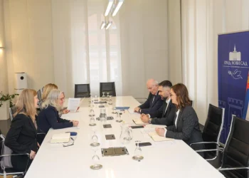 Foto: TANJUG/Grad Novi Sad