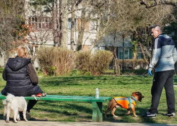 Foto: TANJUG/VLADIMIR ŠPORČIĆ