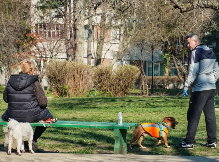 Foto: TANJUG/VLADIMIR ŠPORČIĆ