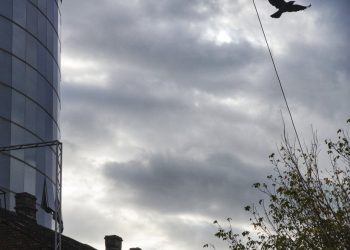 Foto: FOTO TANJUG/VLADIMIR ŠPORČIĆ