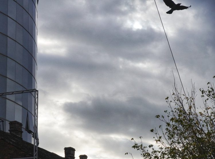 Foto: FOTO TANJUG/VLADIMIR ŠPORČIĆ