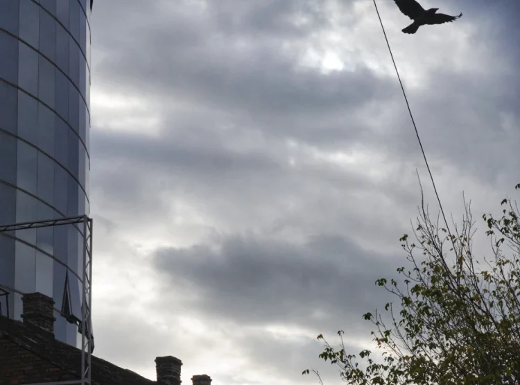 Foto: TANJUG/VLADIMIR ŠPORČIĆ