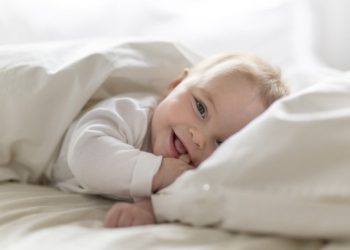 Foto: Shutterstock.com/Lopolo, ilustracija