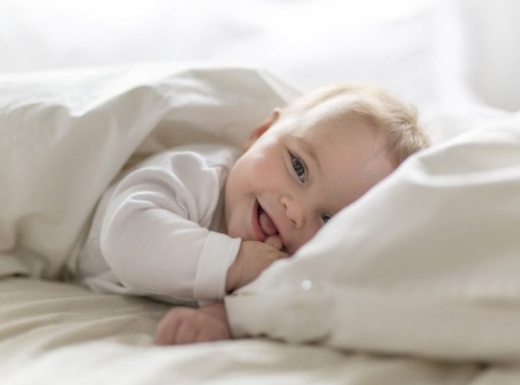 Foto: Shutterstock.com/Lopolo, ilustracija