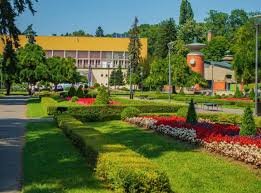 Фото: Схуттерстоцк.цом/Никола_Гога, илустрација