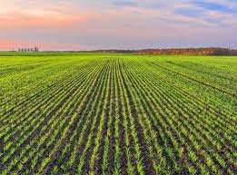 Фото: Схуттерстоцк.цом/Лиубомyр Трyхубyсхyн, илустрација