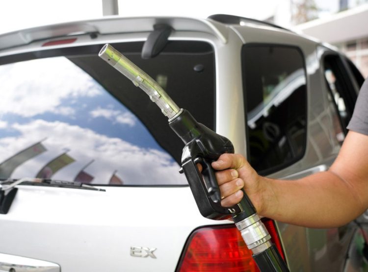 Фото: ТАЊУГ/ЈАДРАНКА ИЛИЋ