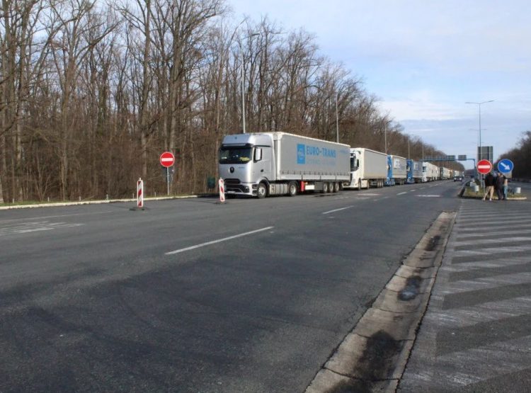 Foto: TANJUG/SAŠKA DROBNJAK