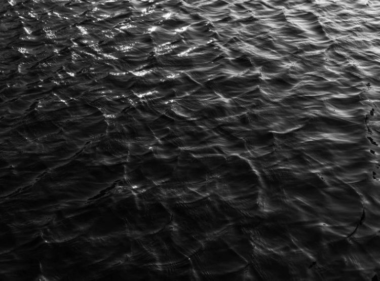 Фото: Схуттерстоцк.цом/Вицкy_007Арт/Илустрација