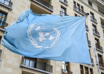 Foto: shutterstock.com/Ajdin Kamber, ilustracija