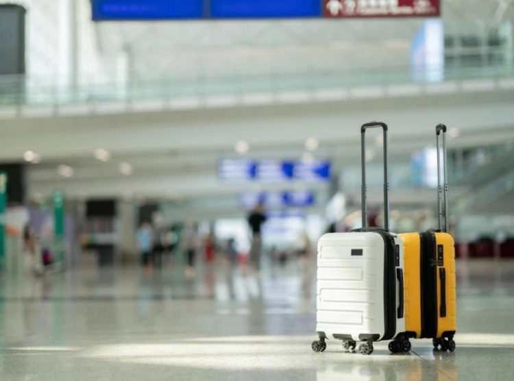 Foto: Shutterstock.com/Kingmaya Studio/Ilustracija