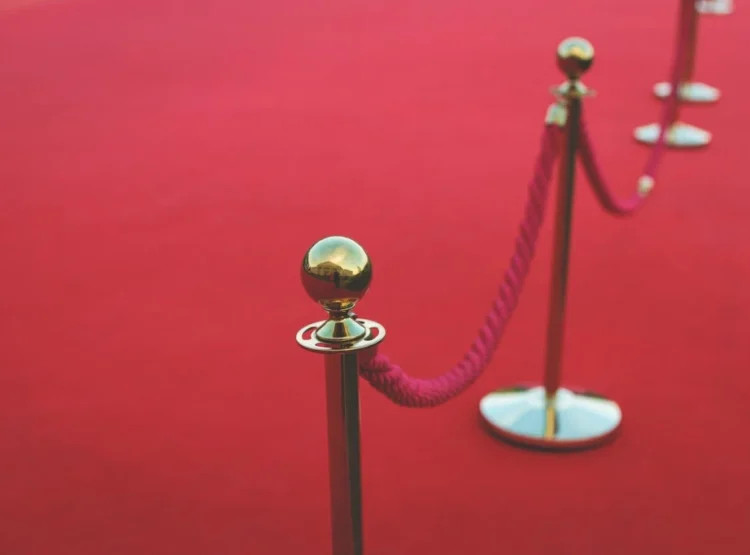 Foto: Shutterstock.com/Tsuguliev, ilustracija