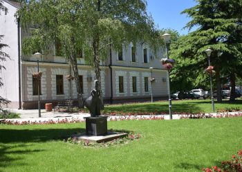 У изради стратегија развоја Новог Сада и још неколико општина под називом: „Зелена улагања, праведна енергија“